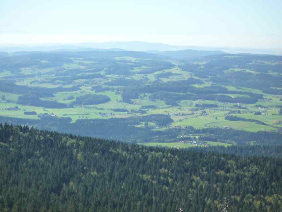 bayrischer Wald 007
